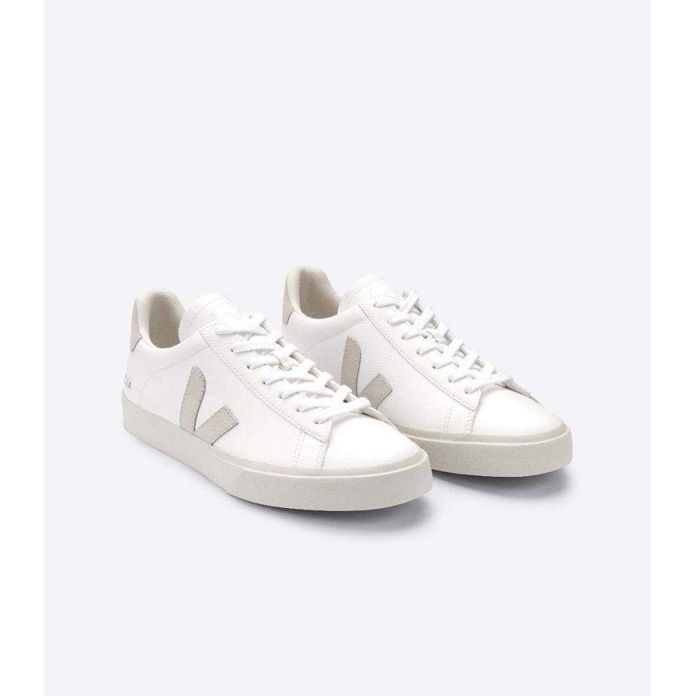 Low Tops Sneakers Veja CAMPO CHROMEFREE Hombre White/Beige | MX 203KOR